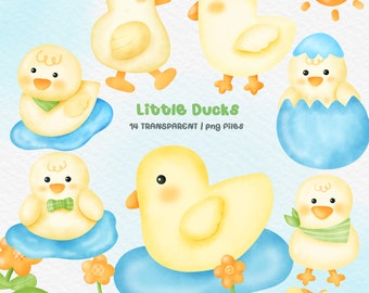 Watercolor Baby Duck Clipart, Yellow Duck PNG (Digital Download)