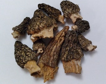 Morel Mushroom (Morchella spp.) Dry 1 oz