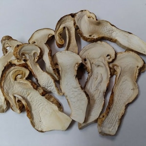 Matsutake Mushroom (Tricholoma magnivelare) Dry 1 oz