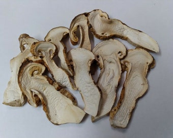 Matsutake Mushroom (Tricholoma magnivelare) Dry 1 oz