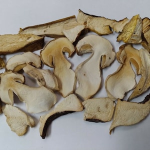 Steinpilz - Bolete (Boletus spp.) Trocken 1 oz