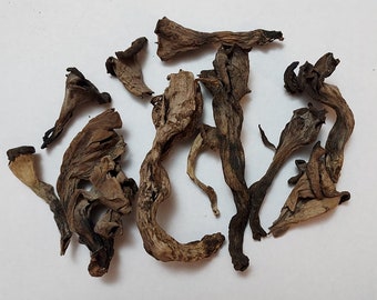 Black Trumpet Mushroom (Craterellus cornucopioides) Dry 1 oz