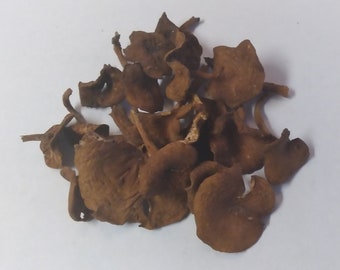 Candy Cap Mushroom (Lactarius rubidus) Dry 1 oz