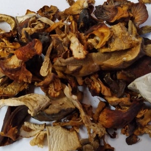 May include: A pile of dried mushrooms in various shades of brown, beige, and orange. The mushrooms are broken into pieces and have a rough texture.