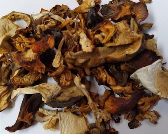 Wild Mushroom Mix Dry 1 oz