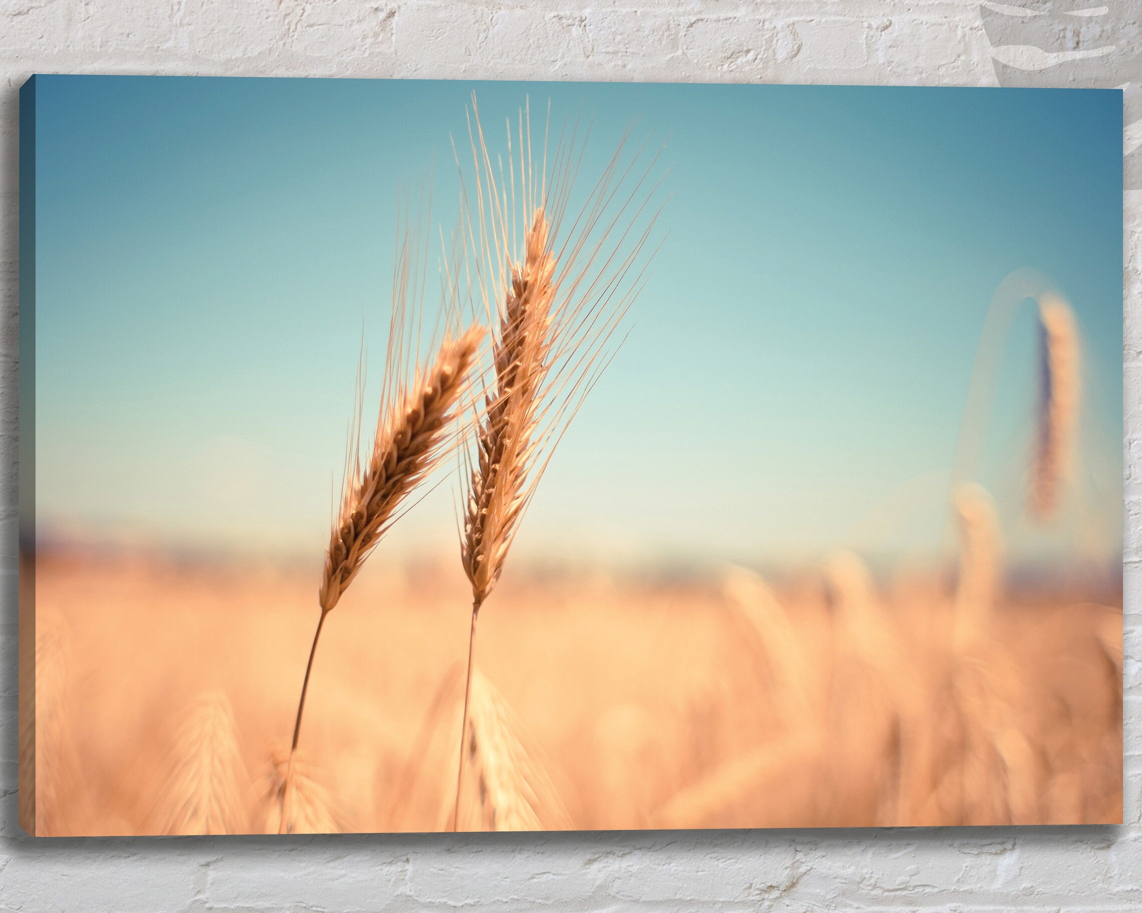 Plant Wheat Canvas Wall Art Print Large Still Life Wall Art | Etsy