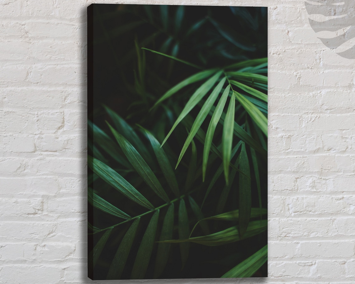 Contemporary Plant Canvas Wall Art Print Large Modern Canvas Etsy