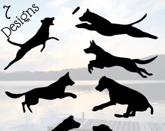 dog dock diving wetsuits