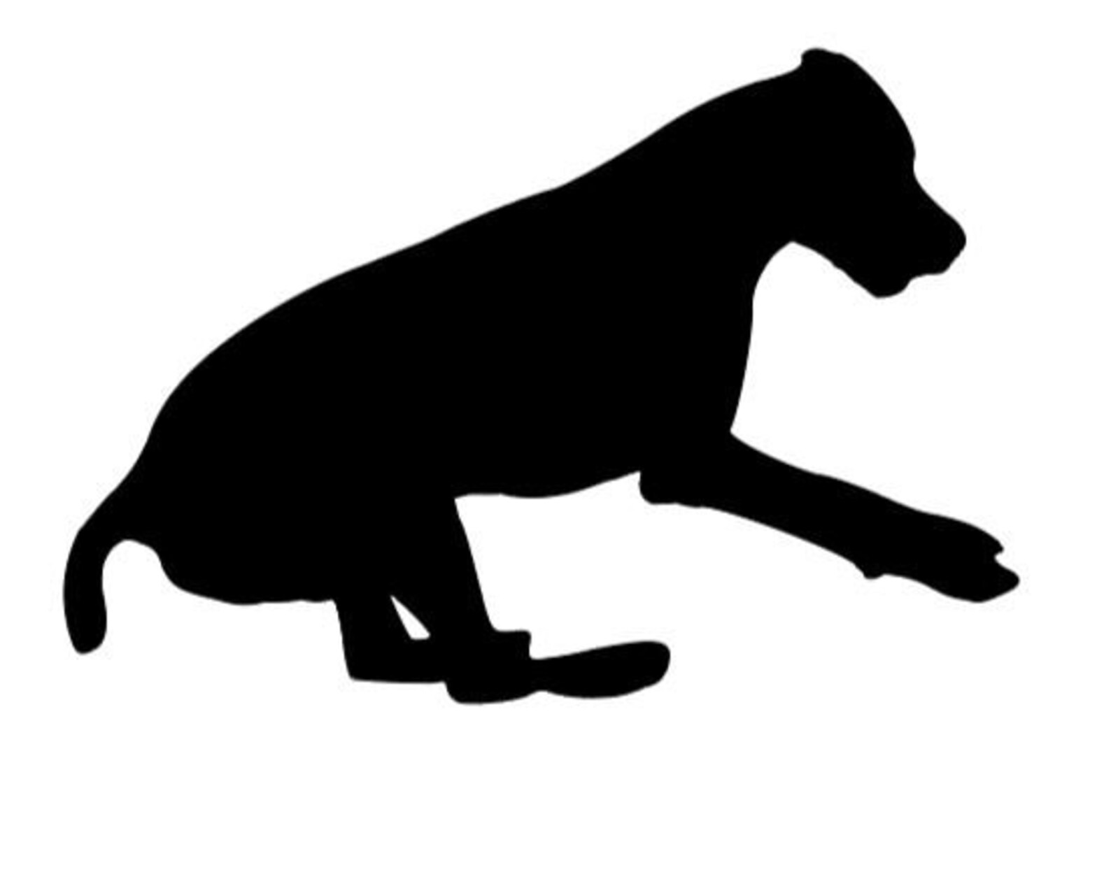 Action Hunde Silhouette Dock Tauchen Schwimmen Fliegenball Etsy