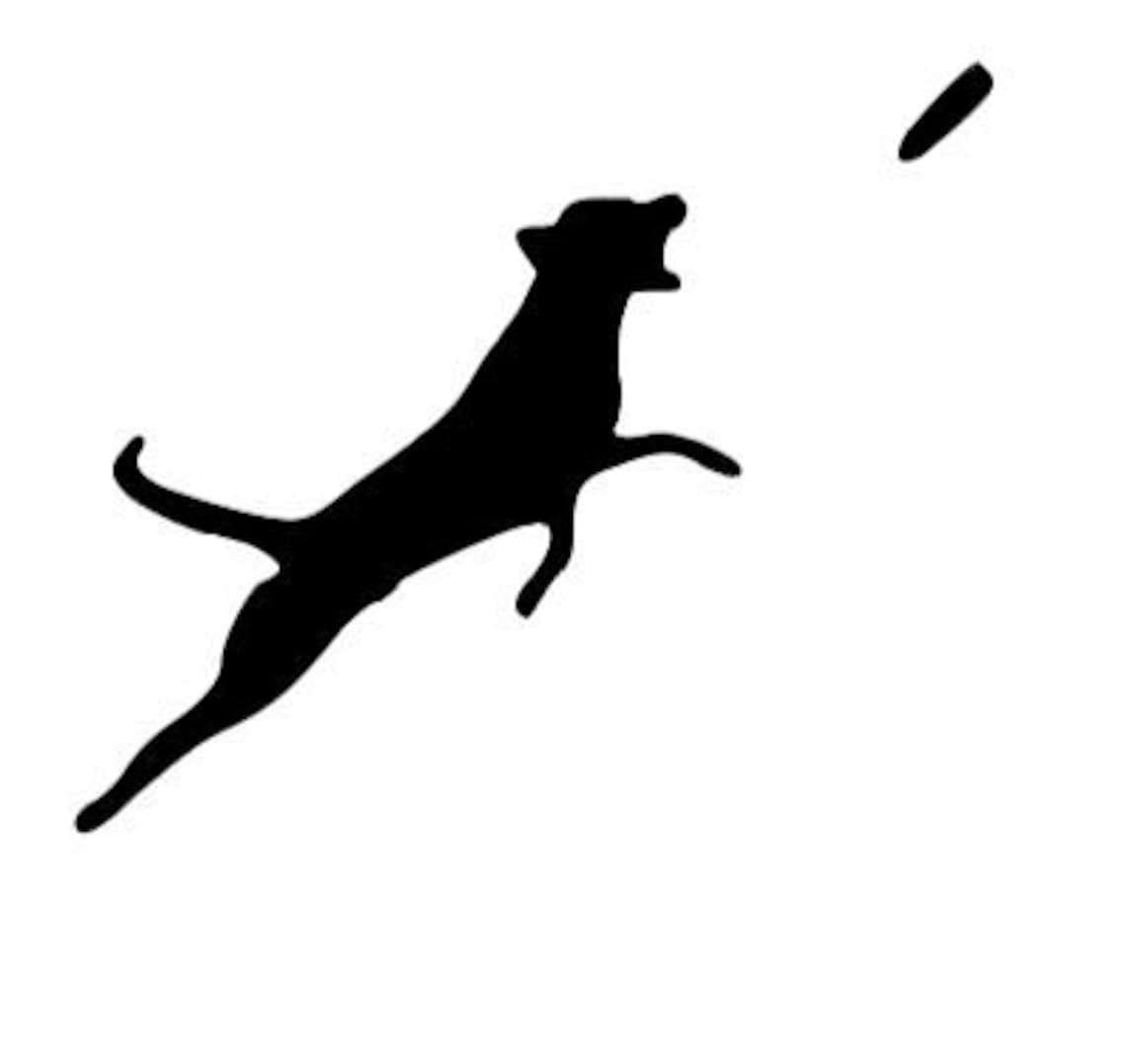 8 designs Dog Dock Diving Fly Disk Dive Jump Swim Silhouette Etsy