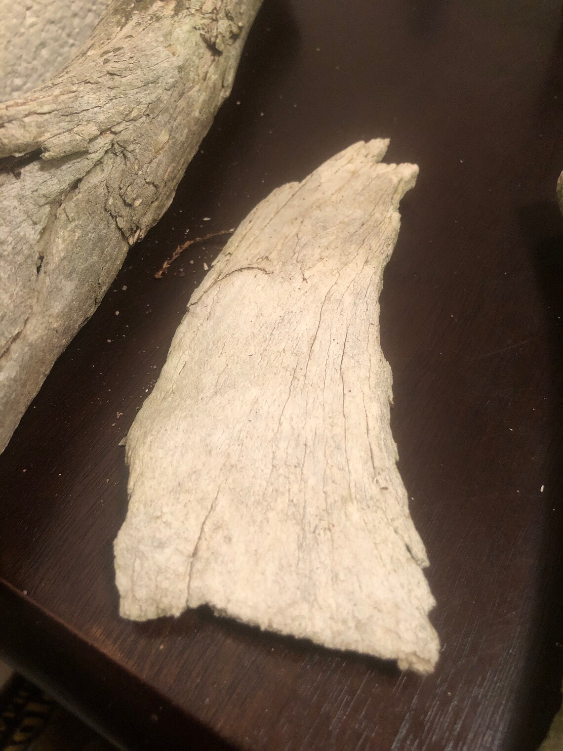 Vintage real cow bones Etsy