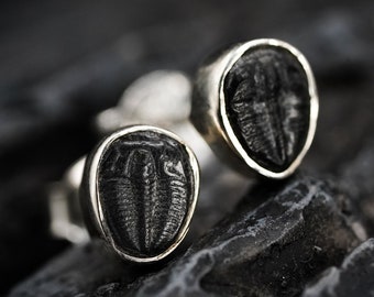 Trilobite Stud Earrings - Sterling Silver Dinosaur Earrings - Fossil Jewellery - Jurassic Park Jewellery