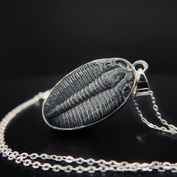 Pendentif Trilobite - Pendentif dinosaure - Collier fossile - Argent sterling 925 - Cadeau d'archéologie