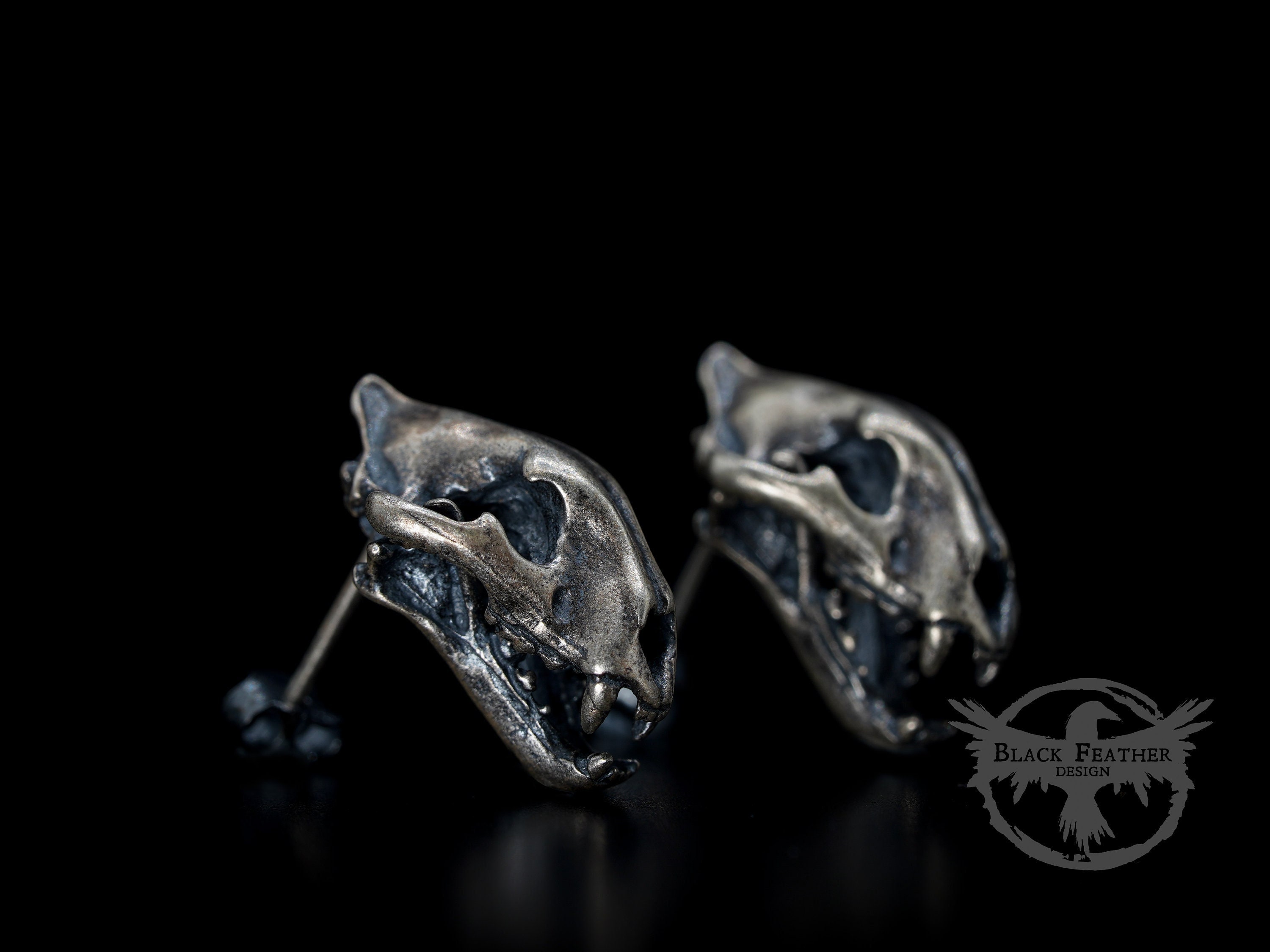 Real tiger skull - Etsy 日本