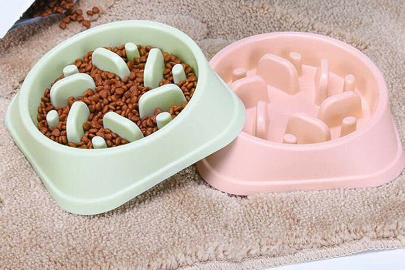Slow Feed Dog Bowl Anti Bloat Bowl Prevents Indigestion & Etsy