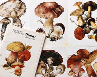 Mushroom Scrapbooking Art, Russian Postcard Set, 16 Botanical Fungi Illustrations from USSR