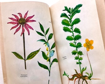 Medicinal Herbs Book, Vintage Botanical Ephemera, 32 Plant Illustration, Botany Book
