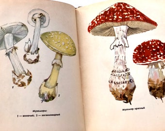 Vintage Mushroom Book, 32 Botanical Ephemera for Scrapbooking, Russian Botany Book