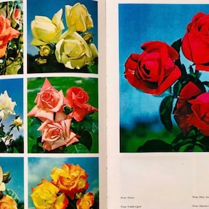 Flower Book with 128 Botanical Ephemera, Russian Botany Guide, 1970s Garden Book, Scrapbooking