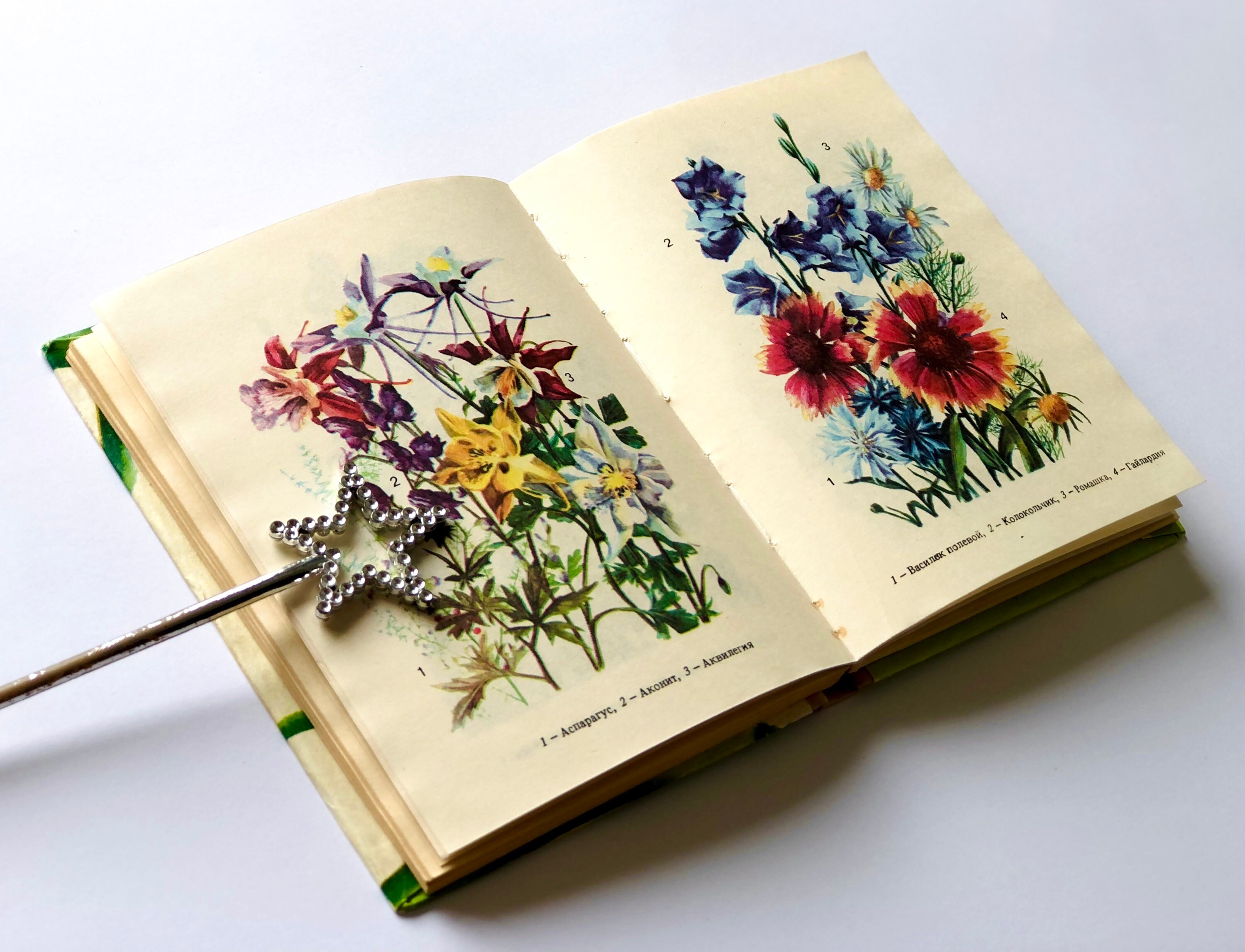 Illustrated Flower Book Vintage Botanical Ephemera Miniature Etsy