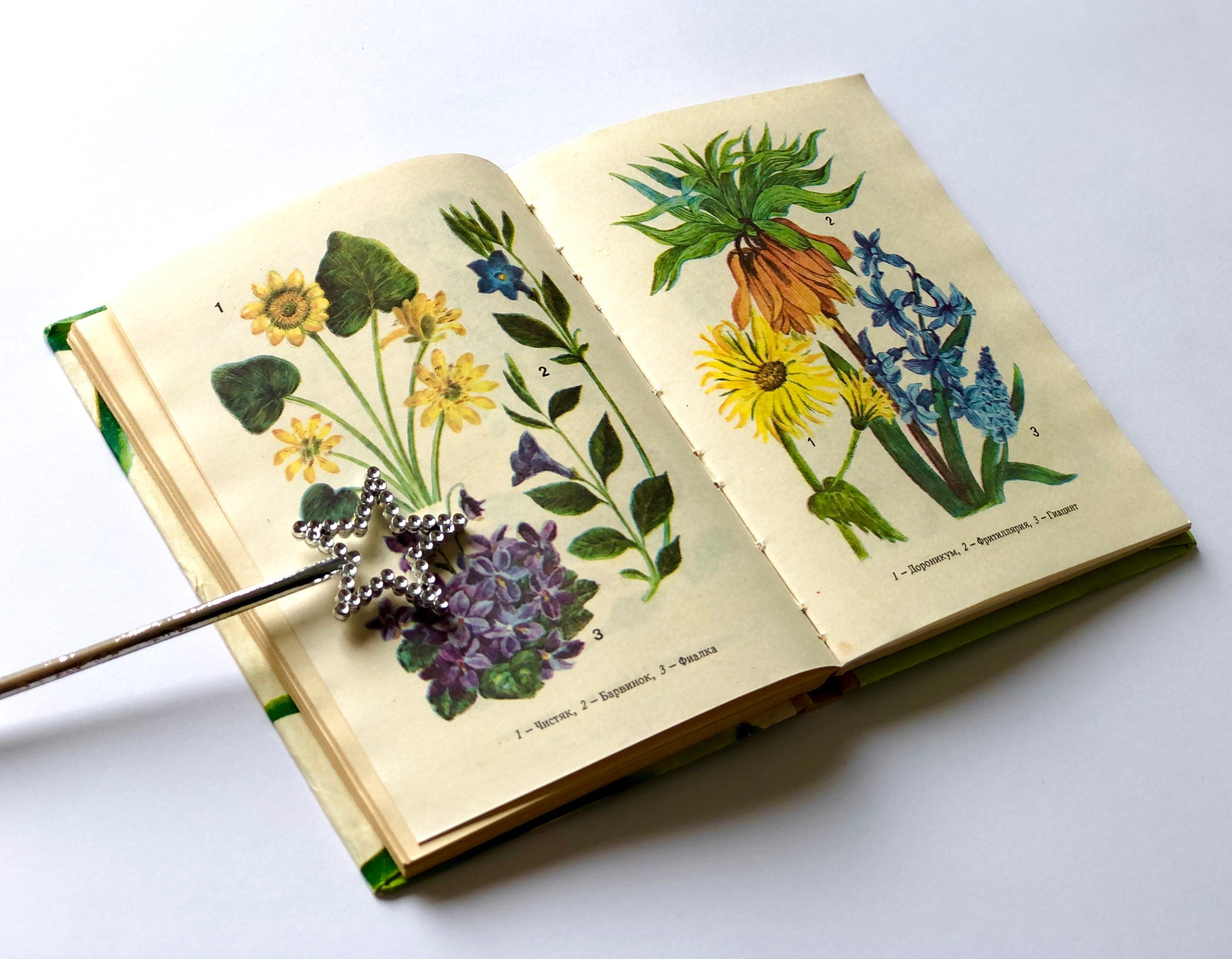 Illustrated Flower Book Vintage Botanical Ephemera Miniature Etsy