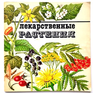 Medicinal Plants Book, Healing Herbs, Vintage Botanical Gift, 40 Scrapbook Ephemera
