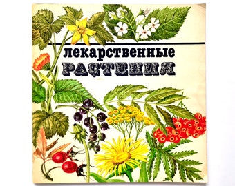 Medicinal Plants Book, Healing Herbs, Vintage Botanical Gift, 40 Scrapbook Ephemera