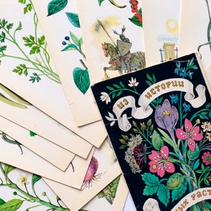 UdSSR Botanische Postkarten, Heilpflanze Illustration, Russische Postkarte Set von 16 Heilkräuter