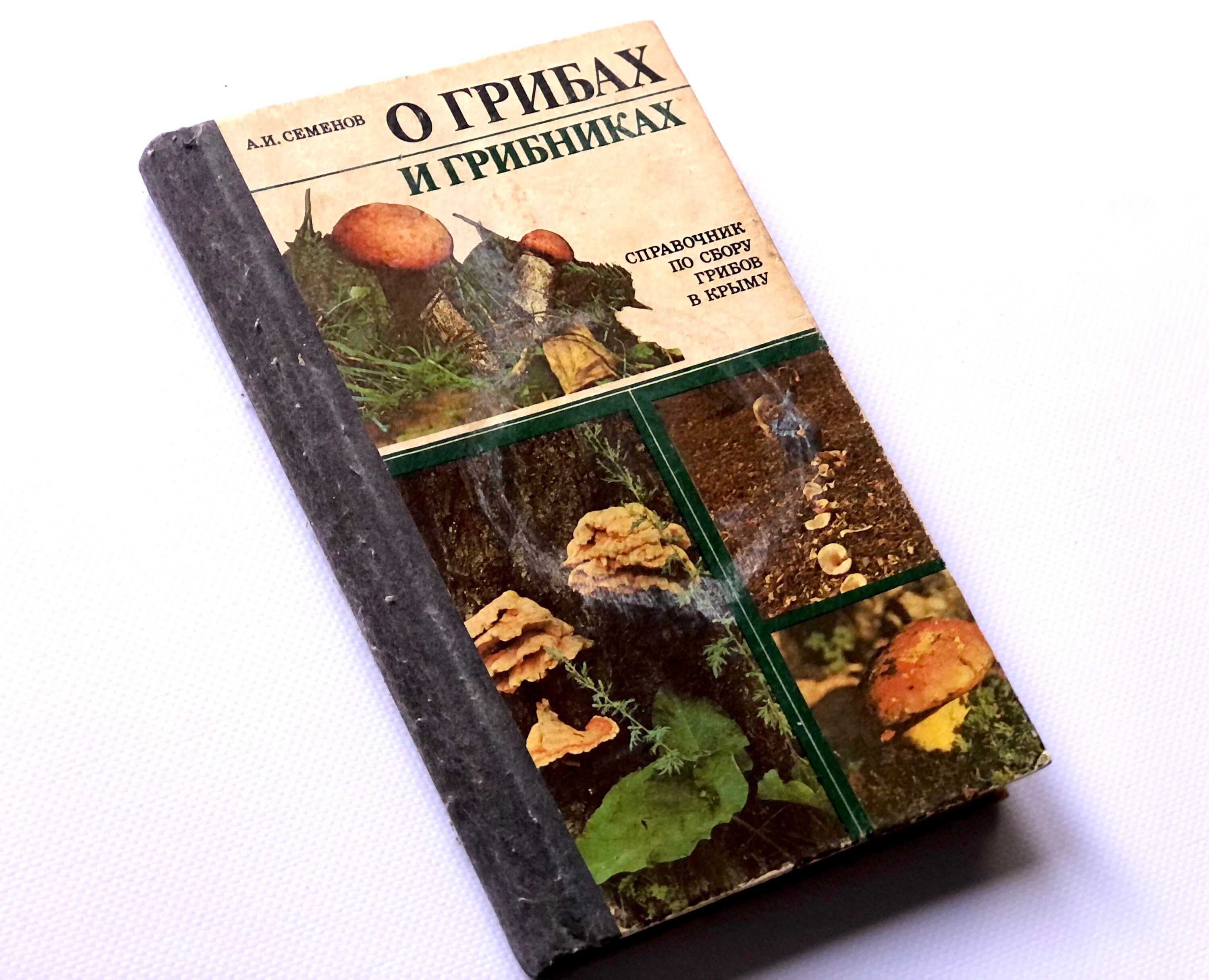 Mushroom Hunting Book 70 Botanical Fungi Illustration Etsy