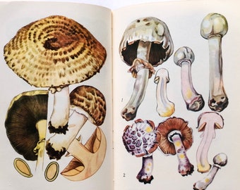 Mushroom Foraging of Carpathians, Botanical Scrapbook Ephemera, Mushroom Book Gift