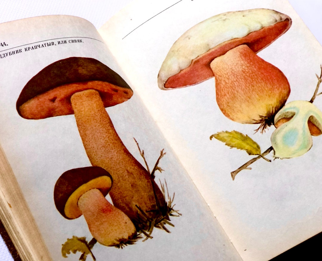 Mushroom Hunting Book, 70 Botanical Fungi Illustration, Vintage