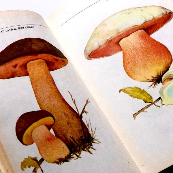 Mushroom Hunting Book, 70 Botanical Fungi Illustration, Vintage Mushroom Gift