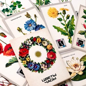 Confezione di cartoline di fiori, 16 illustrazioni botaniche per scrapbooking, cartoline floreali dell'URSS 1986, artista Kurtenko