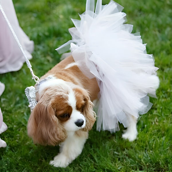 Personalization dog Tutu, Custom Birthday Skirt , Mixed Color Tutu - Adorable and Functional Pet Apparel