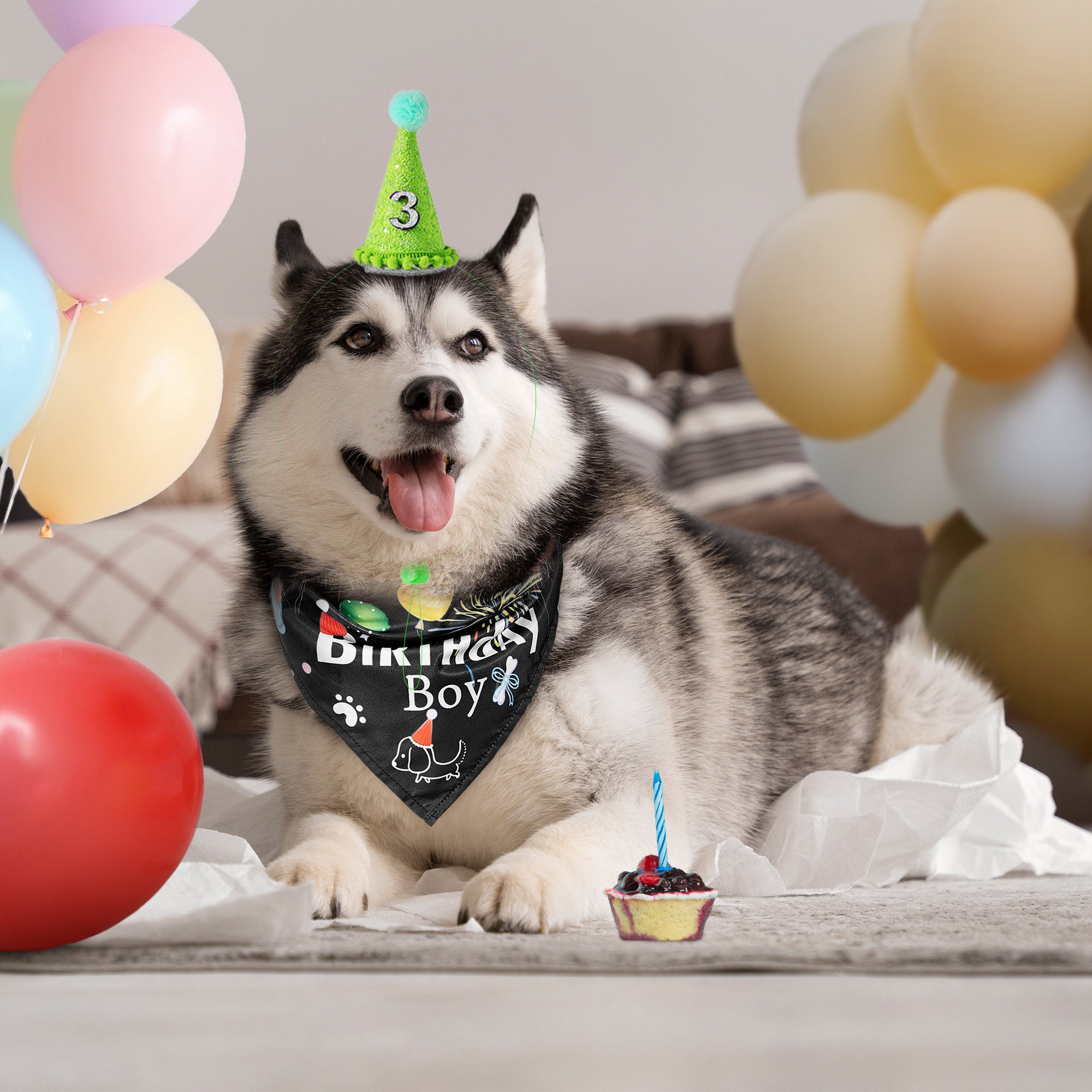 Amazon dog party hat pet cap 6 pack cute puppy cone hats party