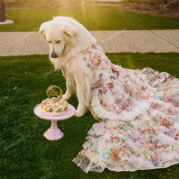 large dog bridesmaid dress Floral Pet Wedding Dress | Detachable Long Train | Custom Size | XS–XL for  Dogs & Cats