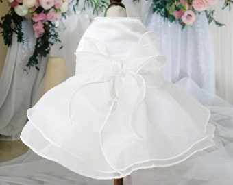 Robe de mariée blanche personnalisée pour chat/chien/enfants avec nom, costume de demoiselle d'honneur, fête d'anniversaire, tenue de princesse, vêtements, robe de soirée cadeau