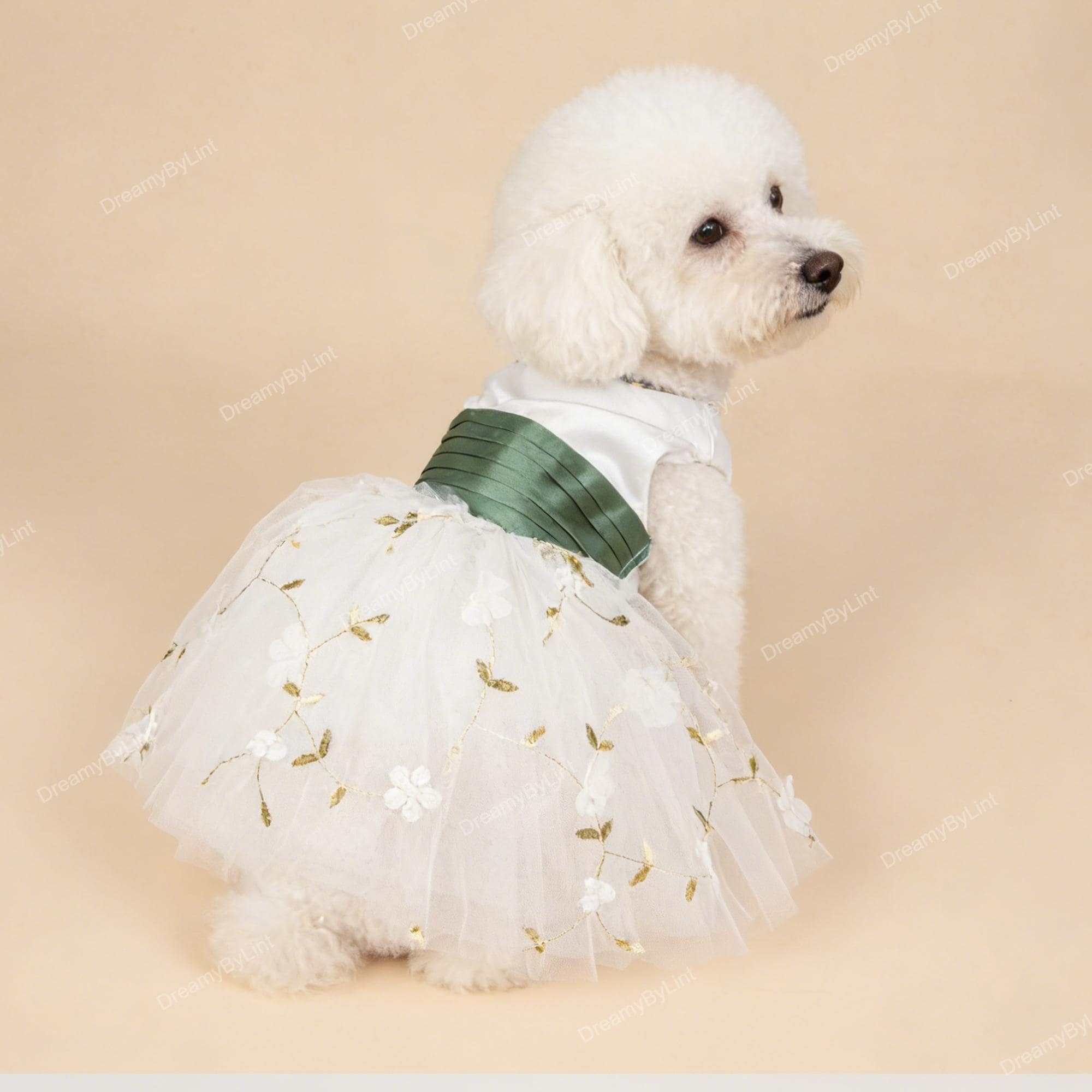 Sage Green Dog Dress - Etsy New Zealand