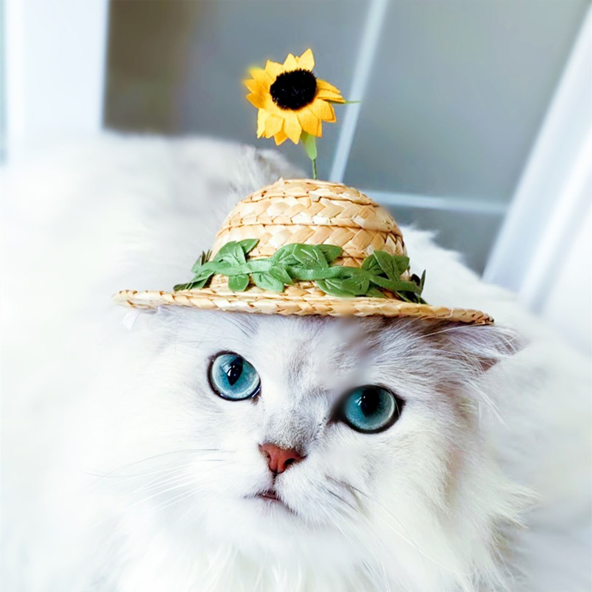 Pet Dog Cat Summer Hat with Wide Brim Cool Straw Hat Sun Hats Puppy Kitten  Hawaii Style Pet Accessories Dogs Cats Party Hats Small and Medium Size  Esg12620 - China Pet Hat