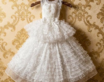 Vestido de novia de encaje blanco para perro / Vestido de dos piezas con cola larga desmontable / Talla personalizada