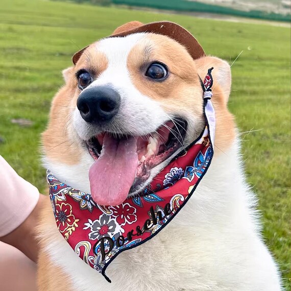 Charming Western Cowboy Hat and Bandana Pet Set Dogs and Cats Perfect Photo Prop and Decoration Etsy
