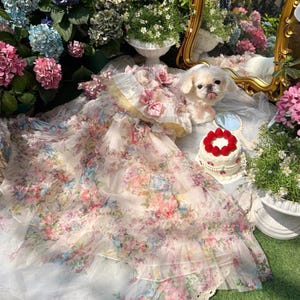 ローズフラワーの犬用ウェディングドレス、取り外し可能なスカート、ロングトレーンとショートスタイルのデュアルスタイルペットドレス