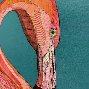 Flamingo