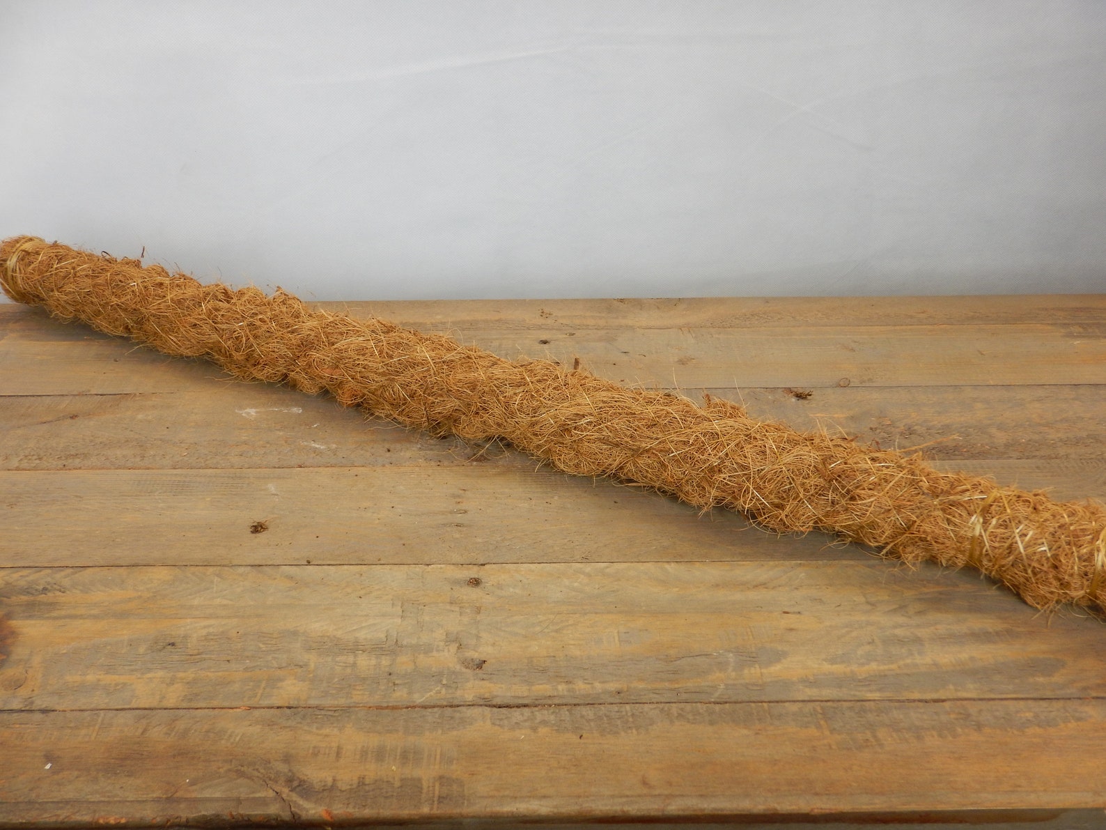 Moss pole 80cm 120cm Etsy