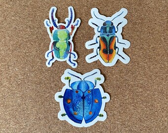 Beetles Collection - vinyl stickers  | beetle stickers