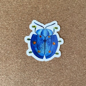 Beetle vinyl sticker