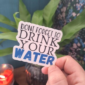 Don&#39;t Forget to Drink Your Water Sticker, booktok, laptop sticker, book lover, bookish gift, kindle sticker, water resistant sticker, H20
