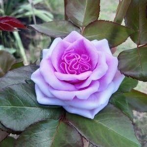 Silicone Mold Rose Spirit Elegant Floral Mold for Soap Candle Epoxy Resin Wedding Favors Chocolate DIY Handmade Gifts Romantic Craft