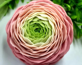 May include: A close-up of a flower with layered petals in shades of pink, cream, and green. The flower's center is a vibrant green, transitioning to cream and then pink towards the outer edges. The petals are tightly packed, creating a spiral effect.