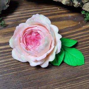 May include: A detailed, light pink rose with a darker pink centre and green leaves. The rose is in full bloom, with delicate petals. The leaves are a vibrant green. The rose is set against a dark wood background.